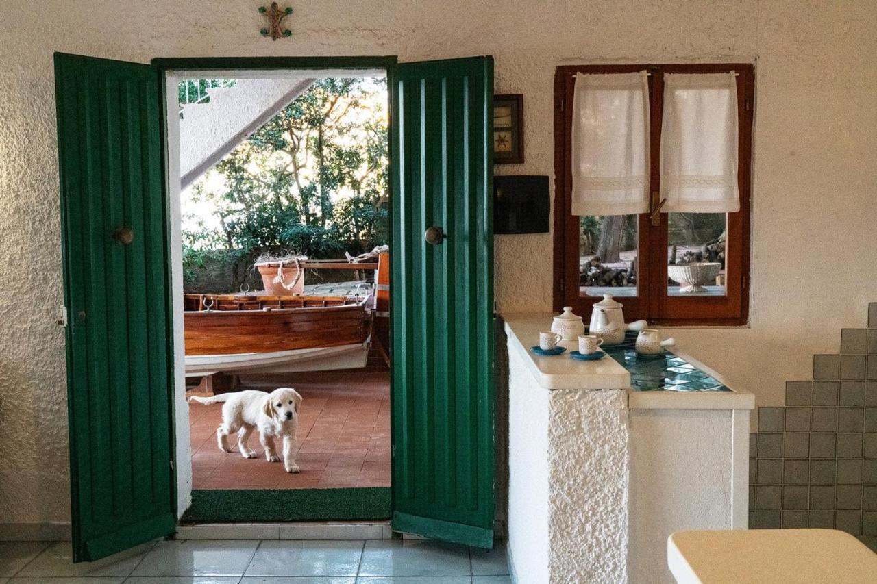 Villa Angela Santa Teresa Gallura Exteriér fotografie